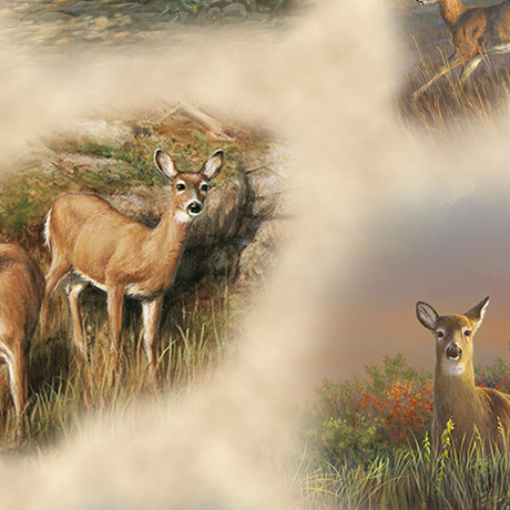 DEER VALLEY